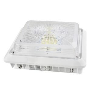 LED Canopy Light - 100W Outdoor Parking Garage Light - Brown & White - (UL+DLC Listed)